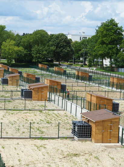 Clotures et abri de jardin