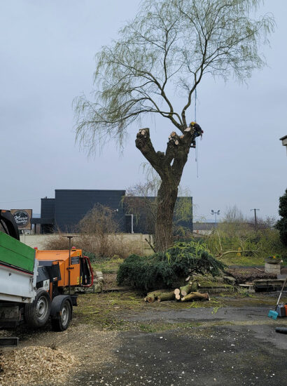 Élagage d’arbre pour sécuriser un jardin résidentiel
