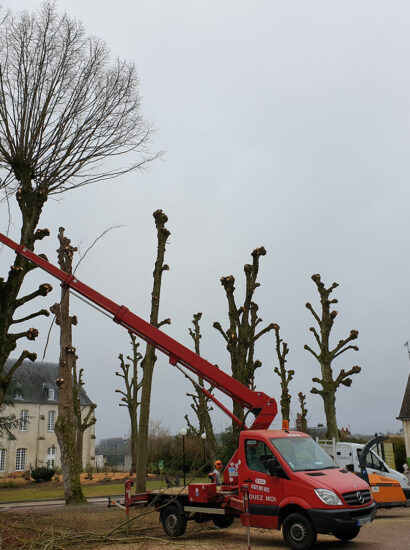 Jardinier paysagiste procédant à l’élagage d’arbres