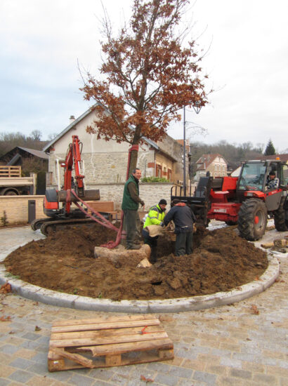 Plantation d’arbres dans un jardin résidentiel à Laon