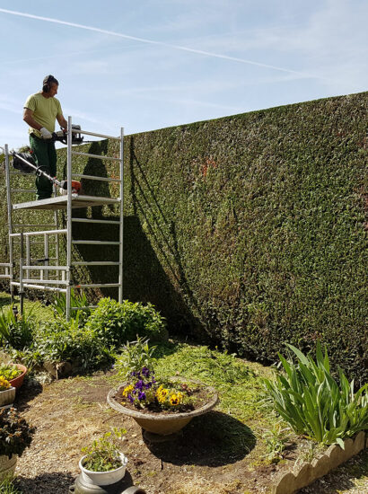 Jardinier paysagiste effectuant la taille des haies