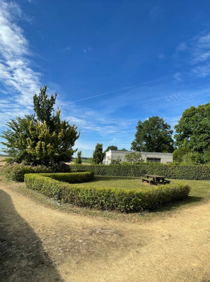 Taille d’arbustes et entretien jardin par entreprise paysagiste